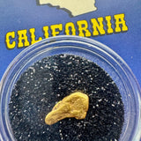 California gold nugget