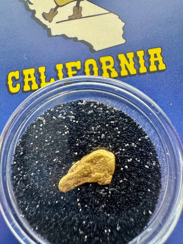 California gold nugget