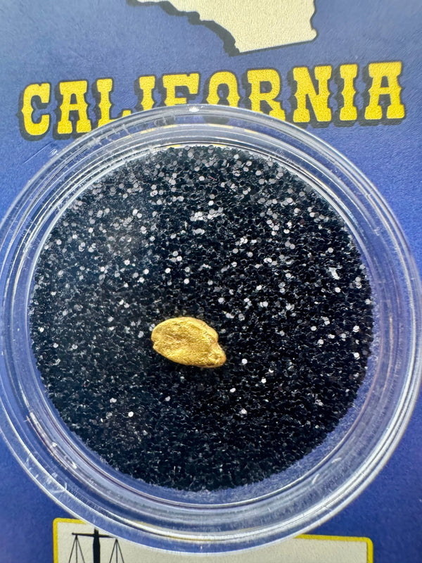 California gold nugget