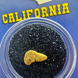 california gold nugget for sale