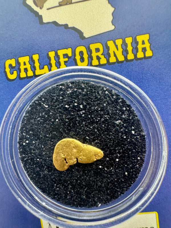 california gold nugget for sale