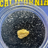 motherlode gold nugget