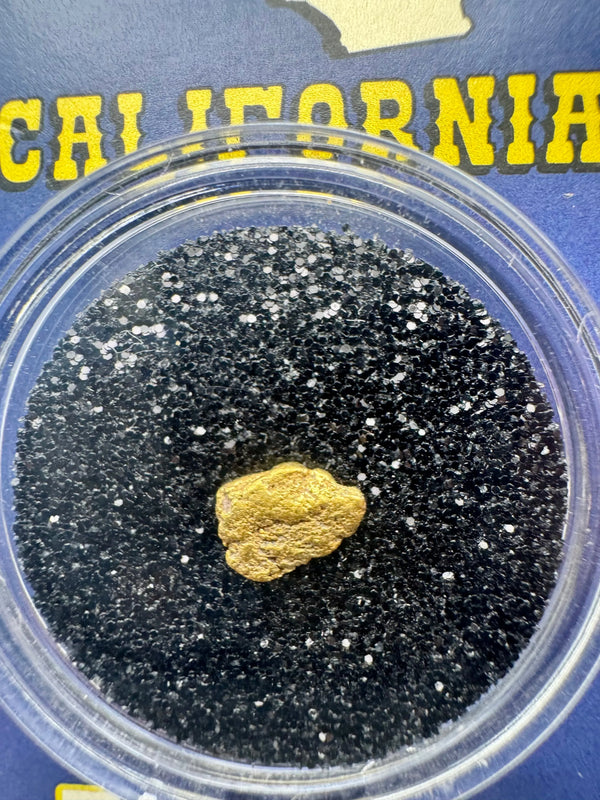 motherlode gold nugget
