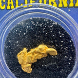 california gold nugget