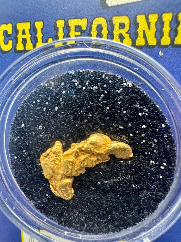 california gold nugget