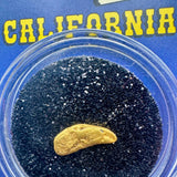 california gold nugget