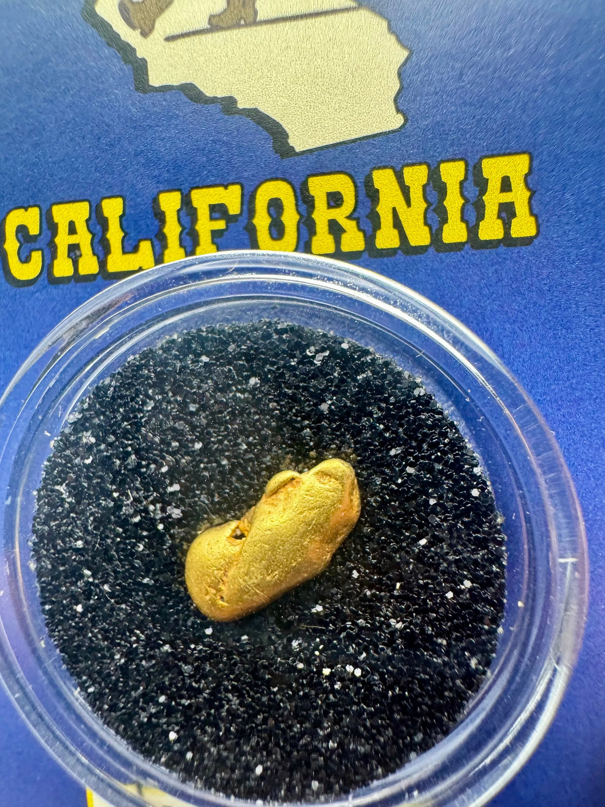 California gold nugget