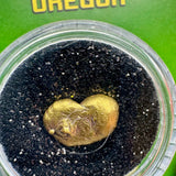 oregon gold nugget by bobby nugget