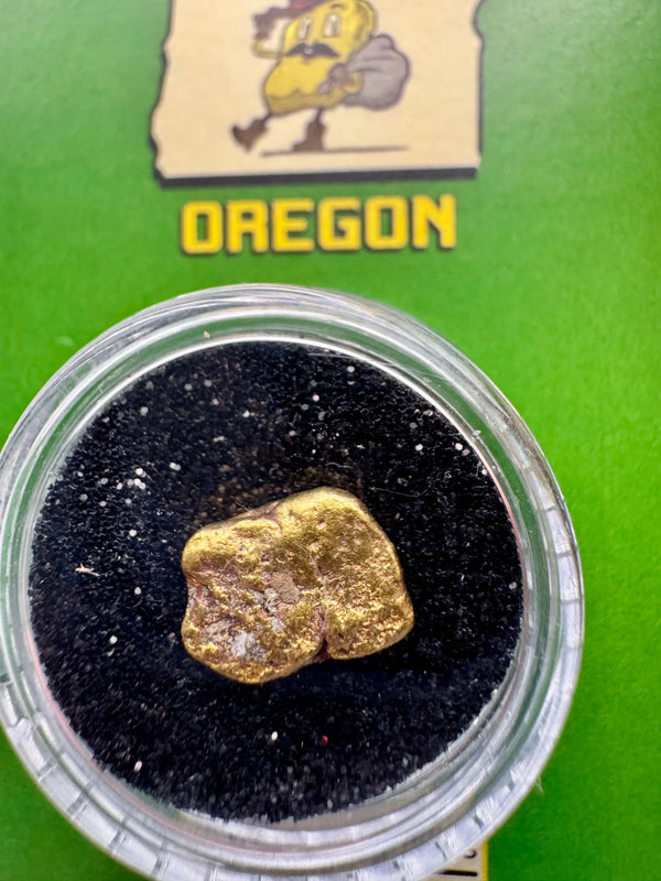 oregon gold nugget for sale