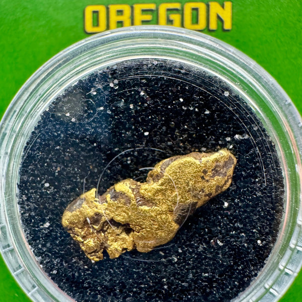 oregon gold nuggets for sale