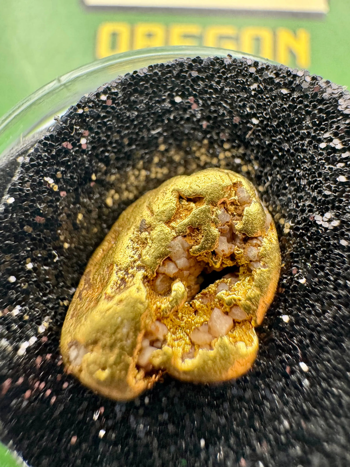 oregon gold nugget