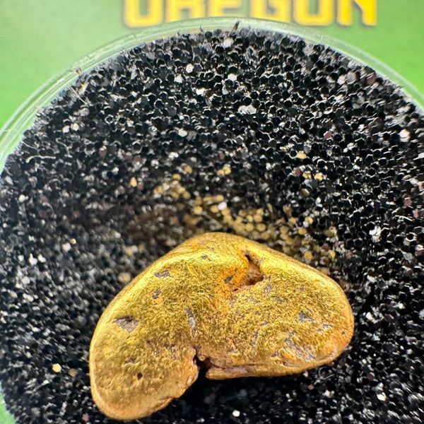 real oregon gold nugget 