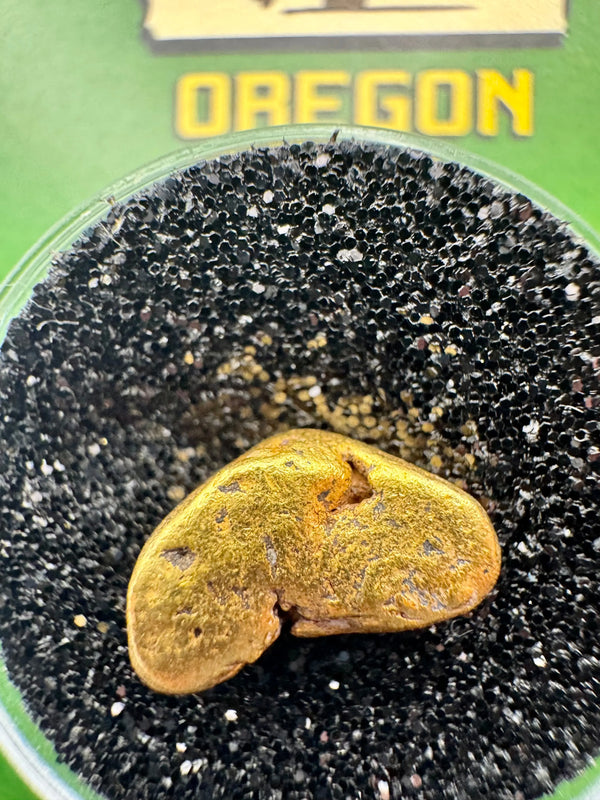 real oregon gold nugget 