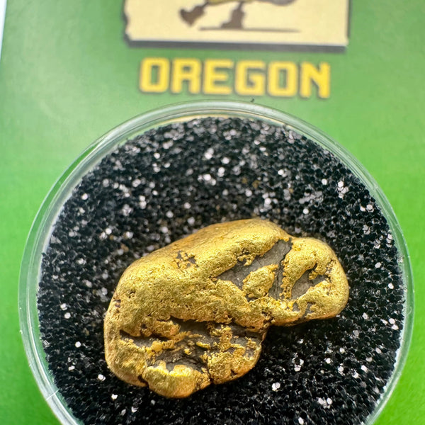 oregon gold nugget