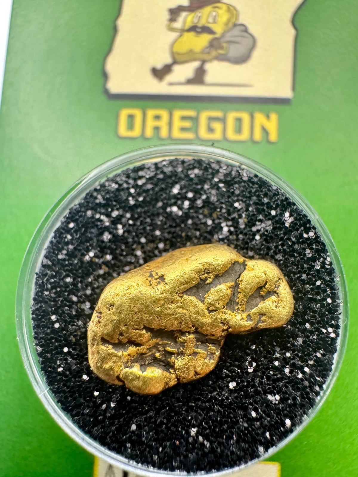 oregon gold nugget