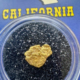 Gold Nugget for sale | California Gold Nugget  .74 grams + Lucky Bonus Bag | #0338 Bobby Nugget Gold