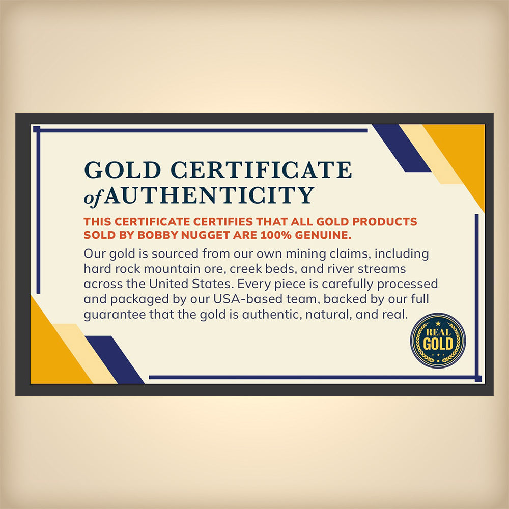 Raw Gold Nugget | Large California Gold Nugget for sale 2.41 grams + Lucky Bonus Bag | #1203