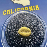 Gold Nugget for sale | California Gold Nugget  .66 grams + Lucky Bonus Bag | #0336 Bobby Nugget Gold
