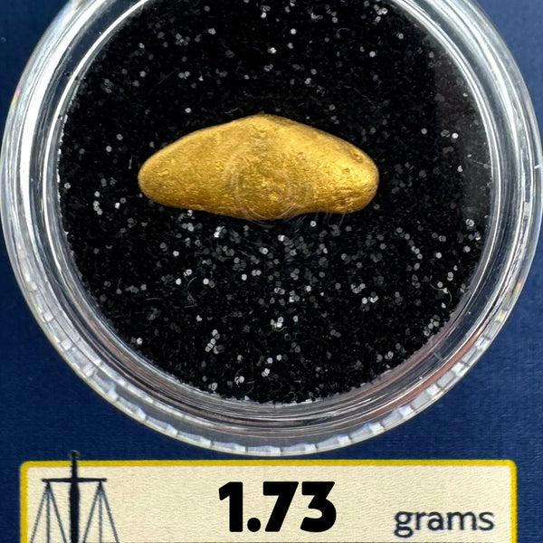 Gold Nugget for sale | California Gold Nugget  1.73 grams + Lucky Bonus Bag | #0228