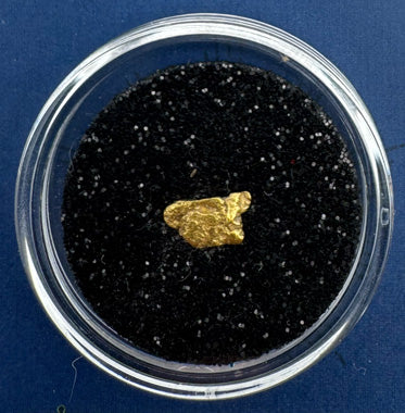Gold Nugget | California Gold Nugget for sale .35 grams + Lucky Bonus Bag | #0195