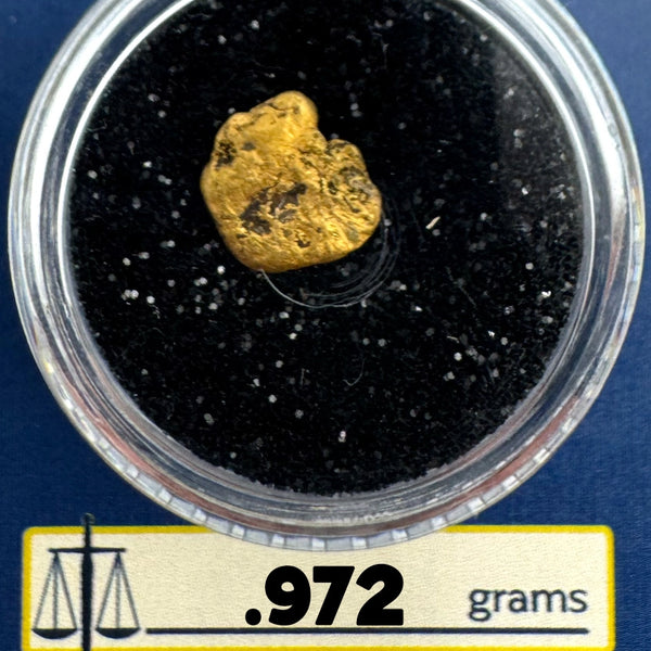 Gold Nugget for sale | California Gold Nugget  .972 grams + Lucky Bonus Bag | #0230