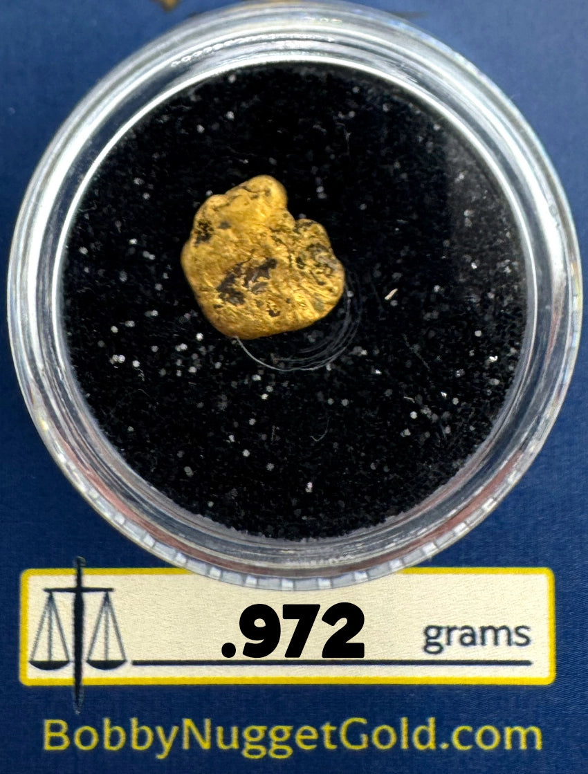 Gold Nugget for sale | California Gold Nugget  .972 grams + Lucky Bonus Bag | #0230