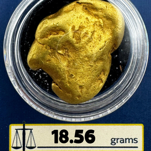 Large Gold Nugget for sale | California Large Gold Nugget 18.56 grams + Lucky Bonus Bag | #0221