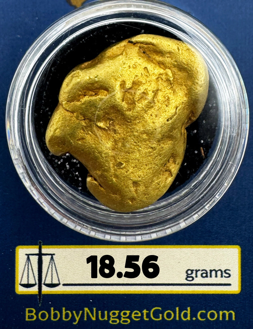 Large Gold Nugget for sale | California Large Gold Nugget 18.56 grams + Lucky Bonus Bag | #0221
