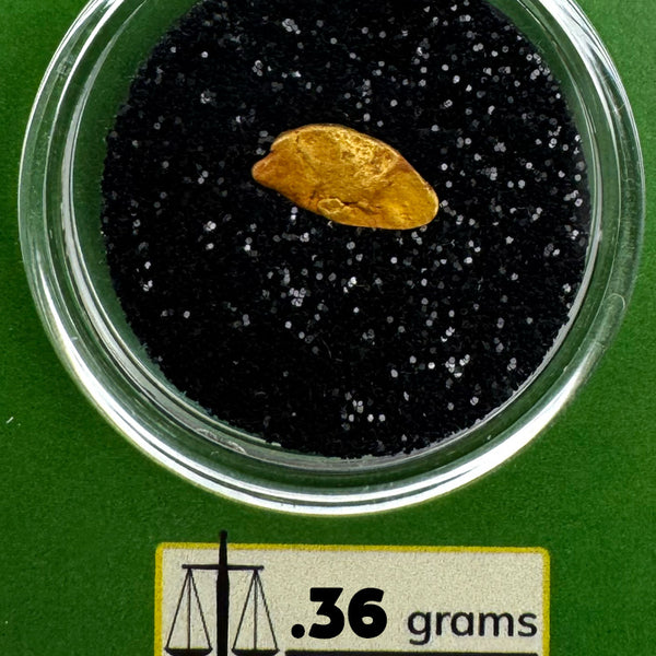 Oregon Gold Nugget for sale | Natural gold nugget .36 grams + Lucky Bonus Bag | #0275