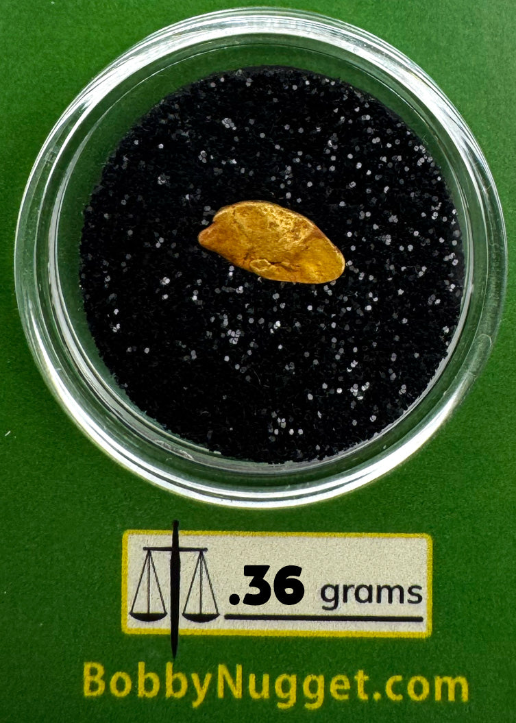Oregon Gold Nugget for sale | Natural gold nugget .36 grams + Lucky Bonus Bag | #0275