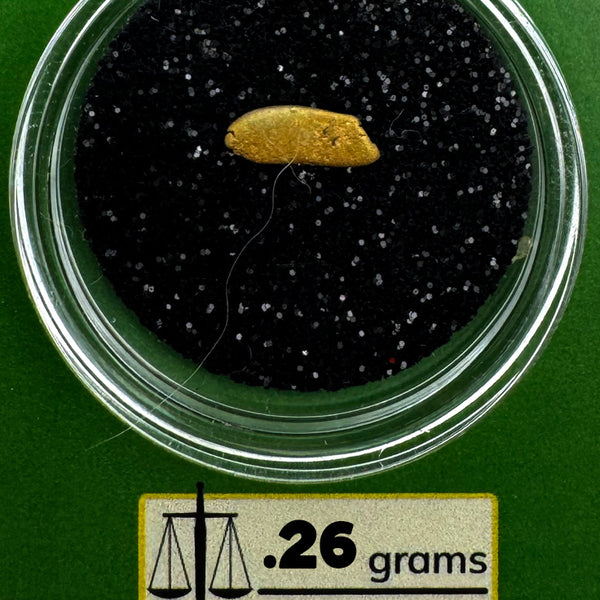 Oregon Gold Nugget for sale | Natural gold nugget .26  grams + Lucky Bonus Bag | #0283