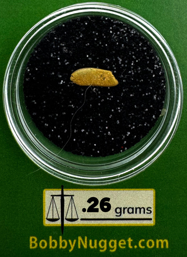 Oregon Gold Nugget for sale | Natural gold nugget .26  grams + Lucky Bonus Bag | #0283