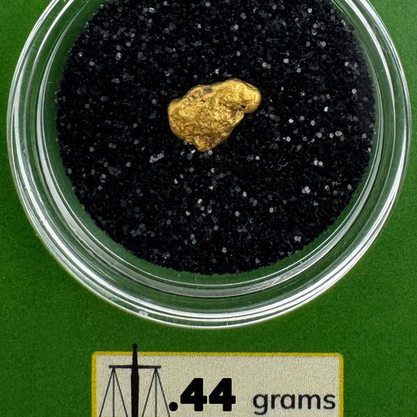 Raw Gold Nuggets for sale | Oregon Gold Nugget .44  grams + Lucky Bonus Bag | #0284