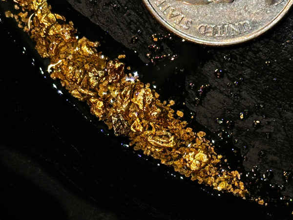 Gold Mining Pay Dirt Bag