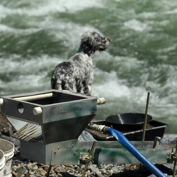 gold mining at river