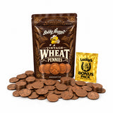 Roll of 50 Lincoln Wheat Pennies | 1909–1958 U.S. Wheat Cents Bobby Nugget Gold